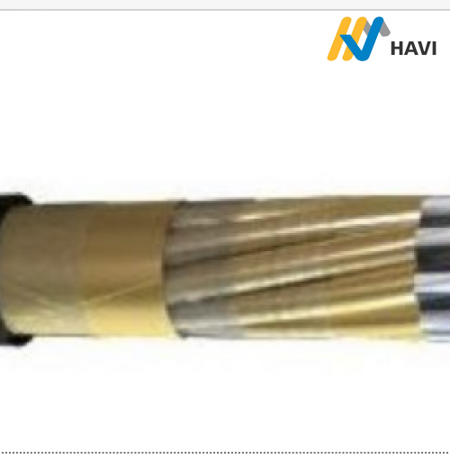 Cáp đo đạc XLPE/OSCR/PVC-FRRT