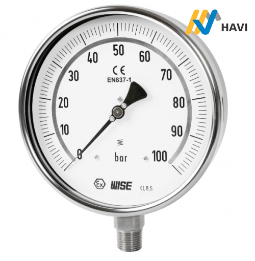ĐỒNG HỒ ÁP SUẤT P229 WISE